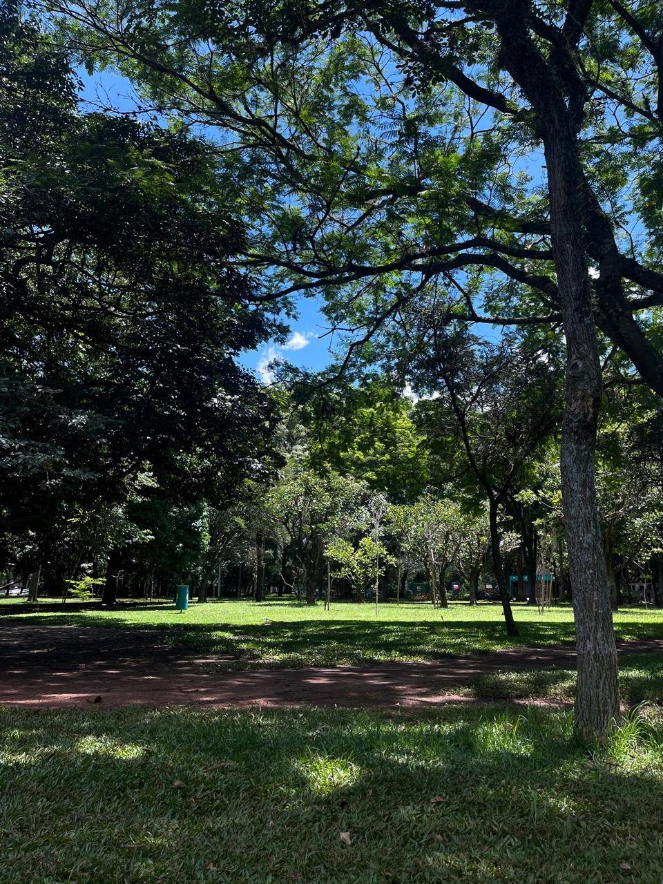 Área verde do Parque Ibirapuera, em São Paulo, reúne árvores, gramados e espaços utilizados pelos frequentadores para atividades de lazer e convivência.